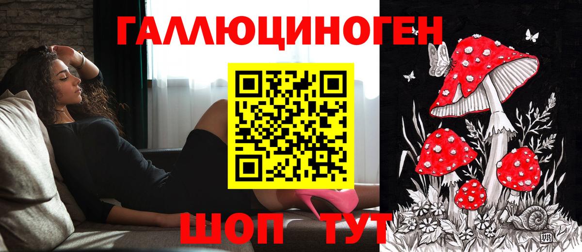 Псилоцибиновые грибы Cubensis Иваново