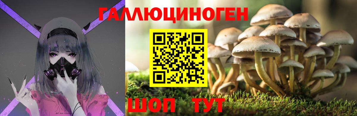 Иваново  Псилоцибиновые грибы GOLDEN TEACHER  Псилоцибиновые грибы прущие грибы  Вход с VPN 
